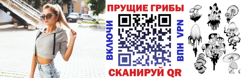 Галлюциногенные грибы Psilocybine cubensis  Элиста 