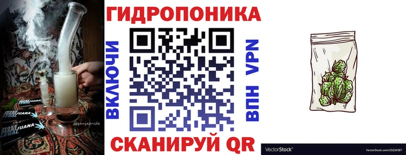 shop телеграм  Элиста  Шишки марихуана марихуана 